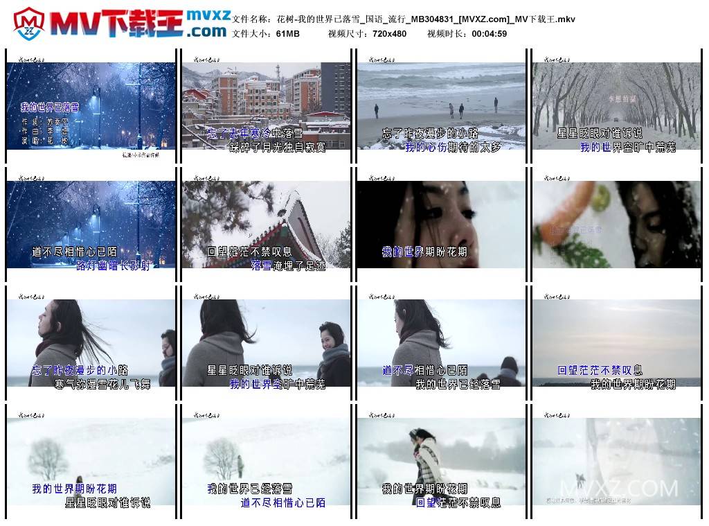 花树-我的世界已落雪_国语_流行_MB304831